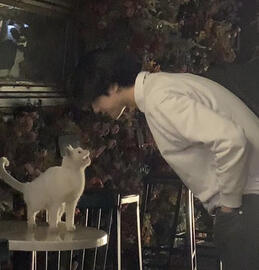 ehuang ๐ป , any prns + terms . homosexual dom , multi .