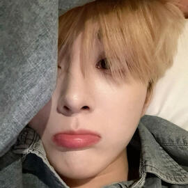 ___ , masc + fem prns + terms . homosexual sub , multi .